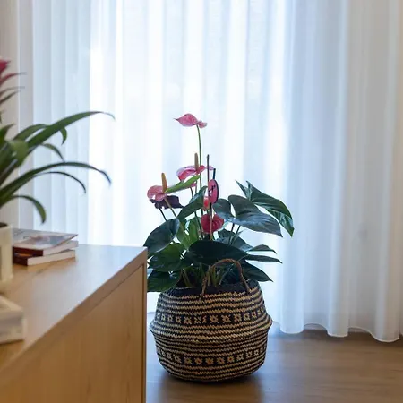 Retiro Na Montanha - Вилла Понте-де-Лима